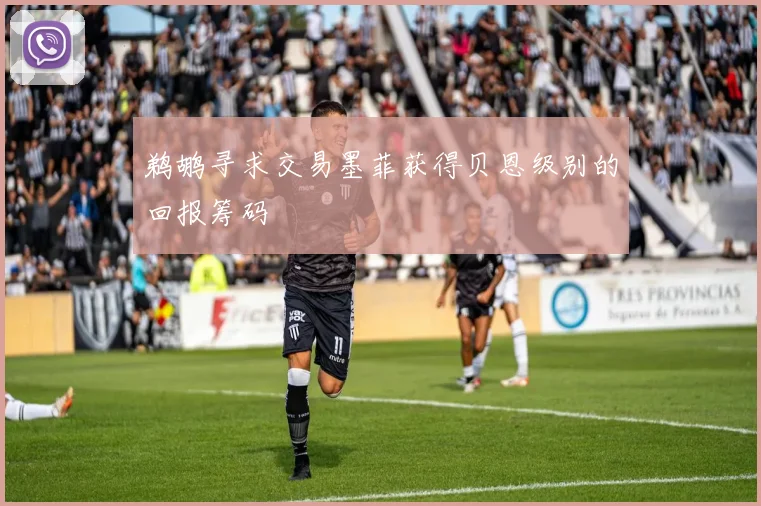 鹈鹕寻求交易墨菲获得贝恩级别的回报筹码
