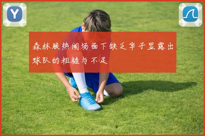 森林狼热闹场面下缺乏华子显露出球队的粗糙与不足