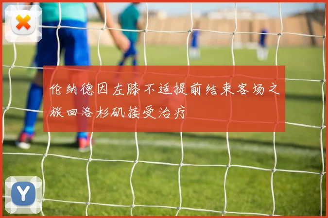 伦纳德因左膝不适提前结束客场之旅回洛杉矶接受治疗