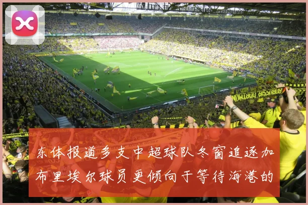 东体报道多支中超球队冬窗追逐加布里埃尔球员更倾向于等待海港的机会